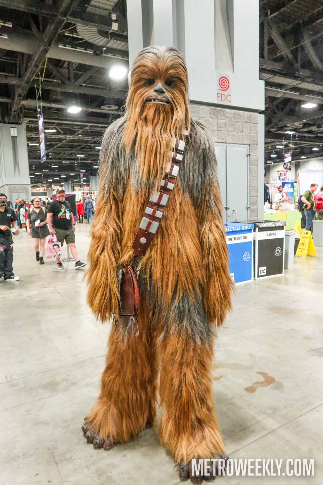 #173 of 212 : 2025-04-18_2989_176737.jpg