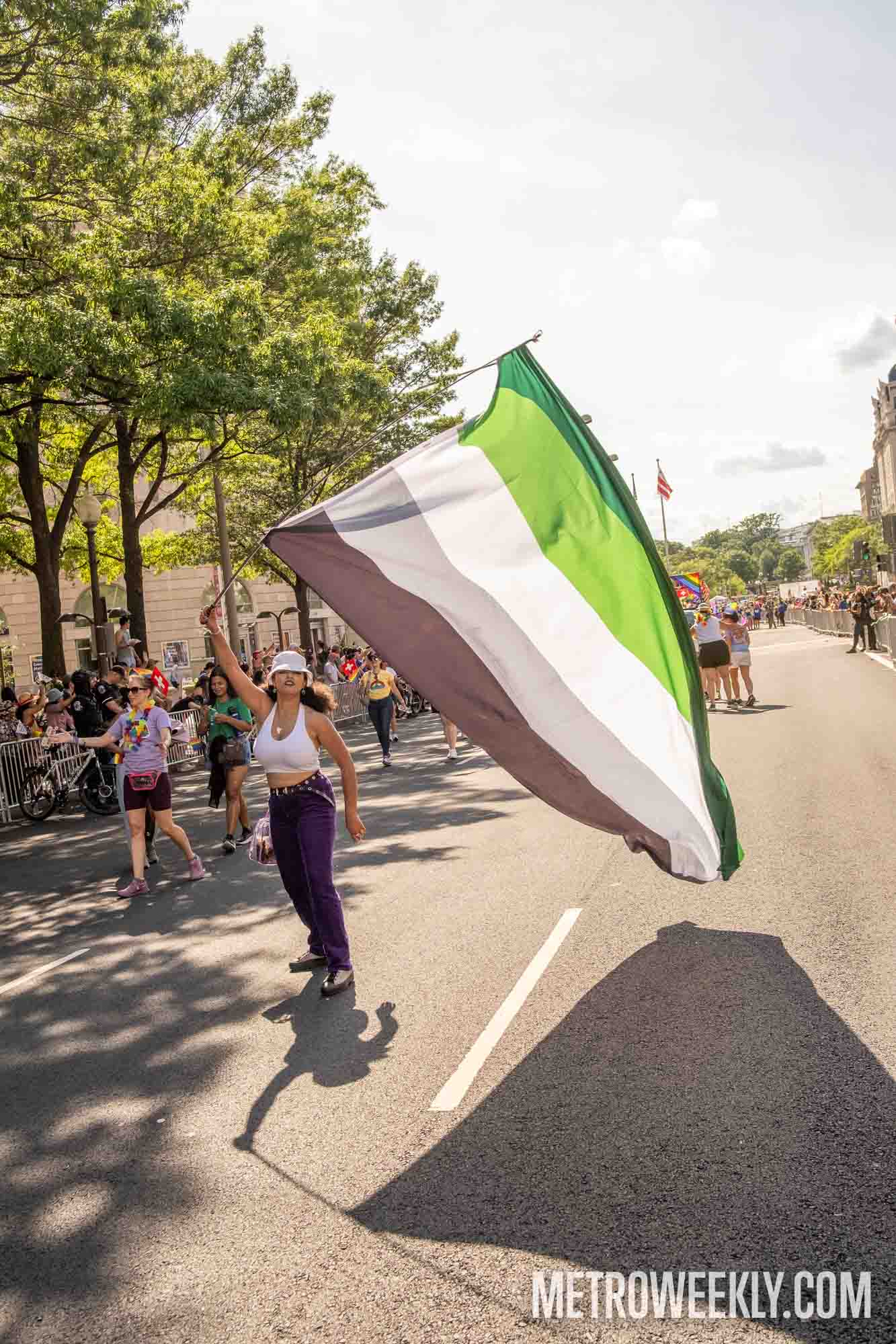 #9 of 42 : 2025-06-12_2998_177053.jpg