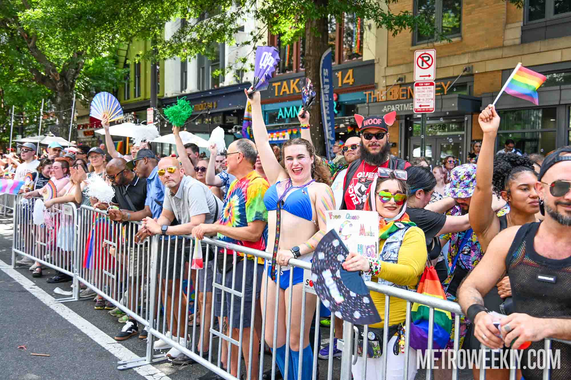 #29 of 58 : 2025-06-13_2999_177115.jpg