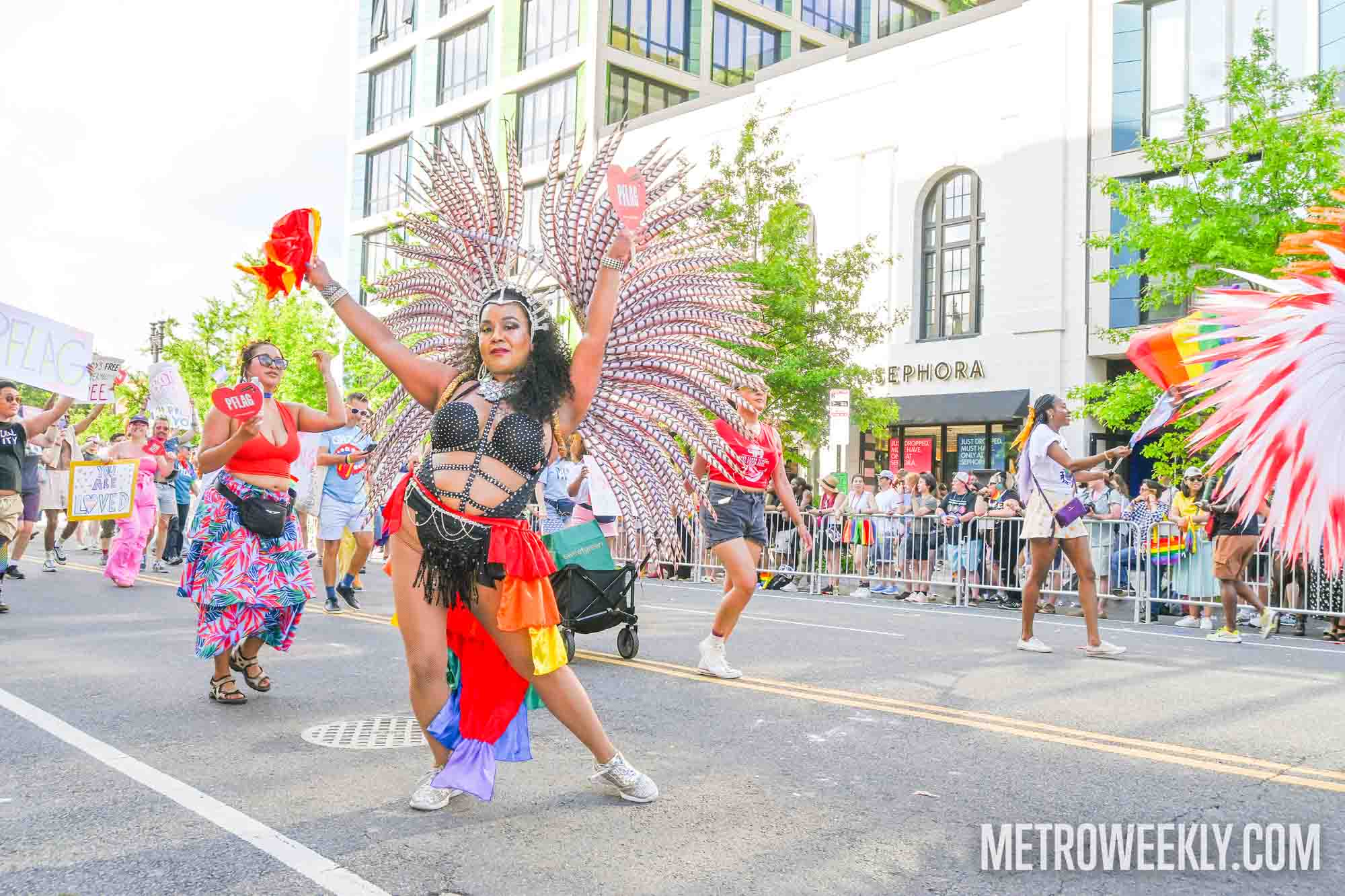 #71 of 80 : 2025-06-13_3000_177215.jpg