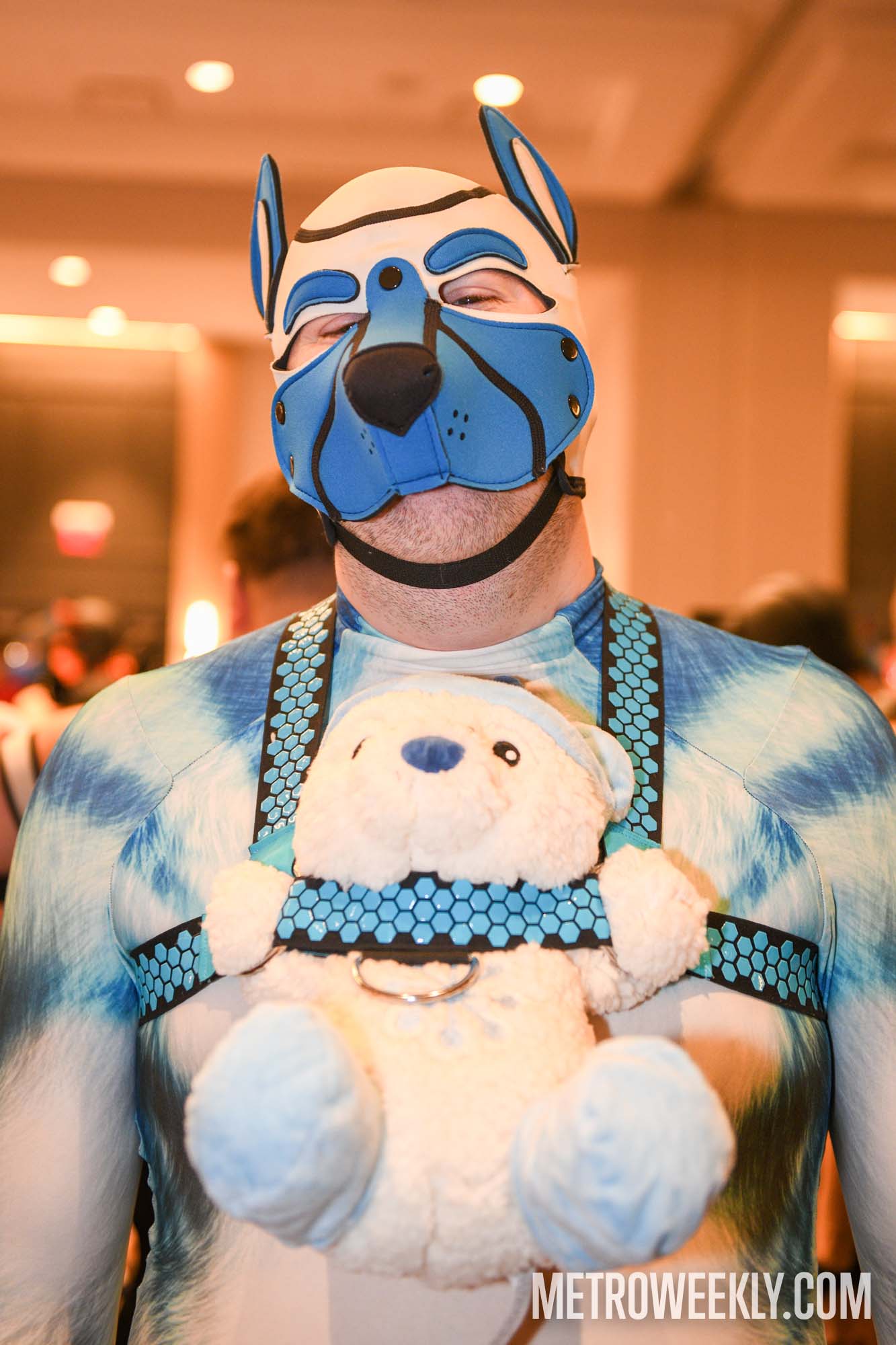 #34 of 168 : 2026-01-23_3027_179250.jpg