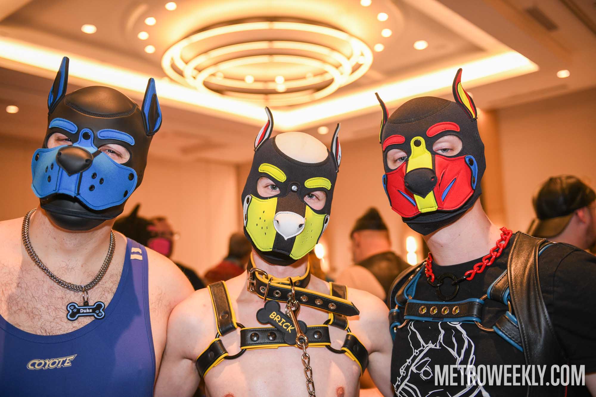 #168 of 168 : 2026-01-23_3027_179384.jpg